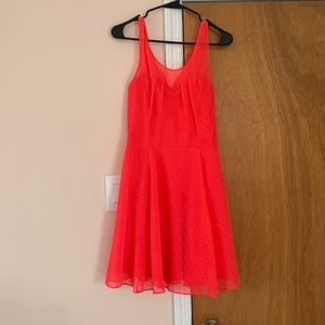 Hot Pink Express Dress